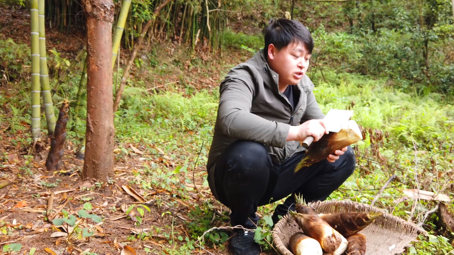 去干妈竹林去挖亿点春笋,做【笋子烧牛肉】吃,1口笋1口肉超过瘾